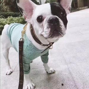 Louis Vuitton Puppy Style